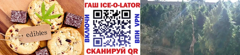 Cannafood конопля  Купить закладки  Кашин 