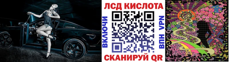 Купить где  Кашин  Наркотические марки 1500мкг 