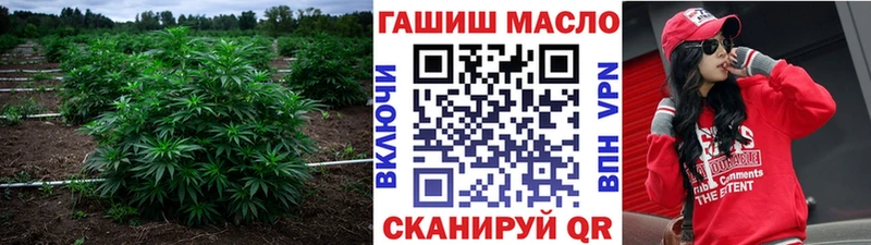 ТГК Wax  Купить где  Кашин 