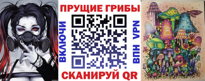 Купить  Кашин  Псилоцибиновые грибы мицелий 
